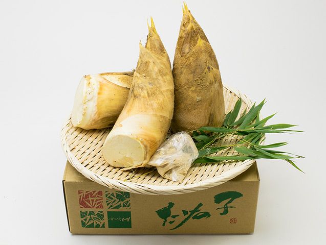 たけのこ | 安心堂 食のSELECTネットショップ