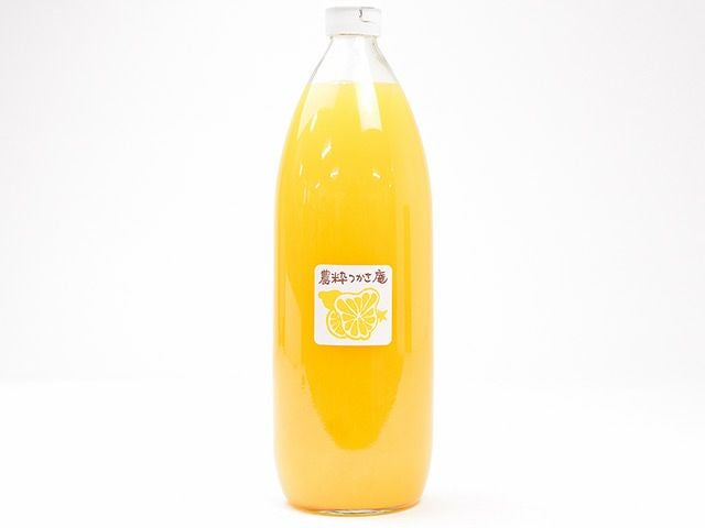 はるな山麓農cafe・自然栽培青梅10kg【白加賀】 | 安心堂 食のSELECT