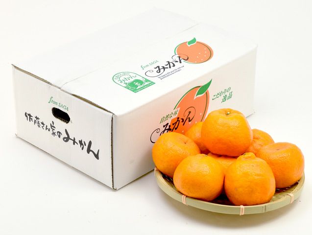 佐藤農場・有機栽培ぽんかん（10kg） | 安心堂 食のSELECTネットショップ