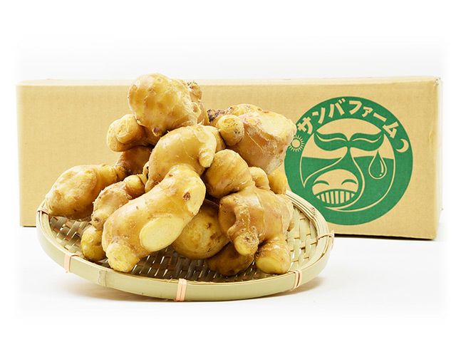 のらファーム・農薬不使用 土佐にんにく | 安心堂 食のSELECTネット