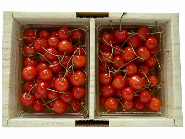 のらファーム・農薬不使用 土佐にんにく | 安心堂 食のSELECTネット