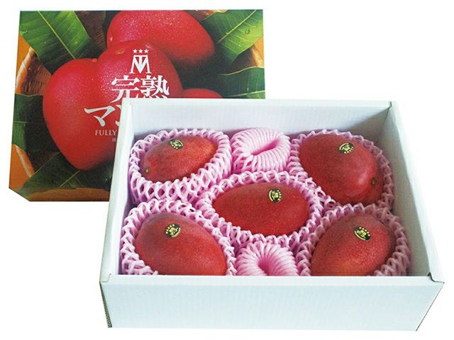 カワノ農園・太陽マンゴー 果実の宝石 2Lサイズ（約400g）×2玉 | 安心