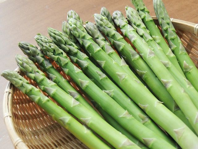 小松ファーム・極太アスパラガス 800g（3～4Lサイズ）14～20本 | 安心