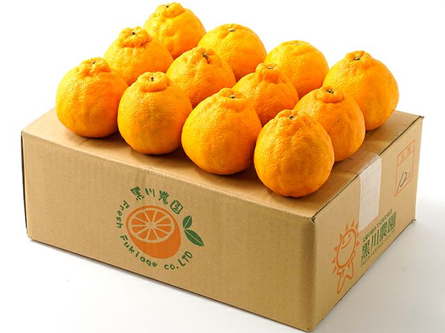 黒川みかん農園・薩摩不知火（デコポン）【家庭用】4kg(10～15玉入り