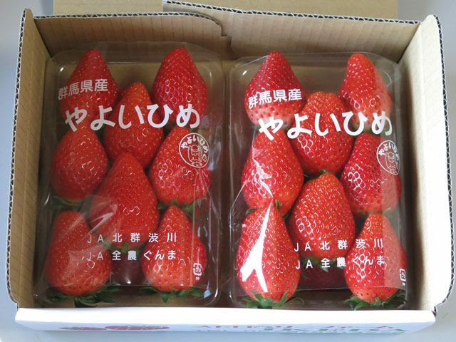 ひめいちご様　フェラガモ いちごの気になる情報】3月のお姫様「やよいひめ」、どんな品種