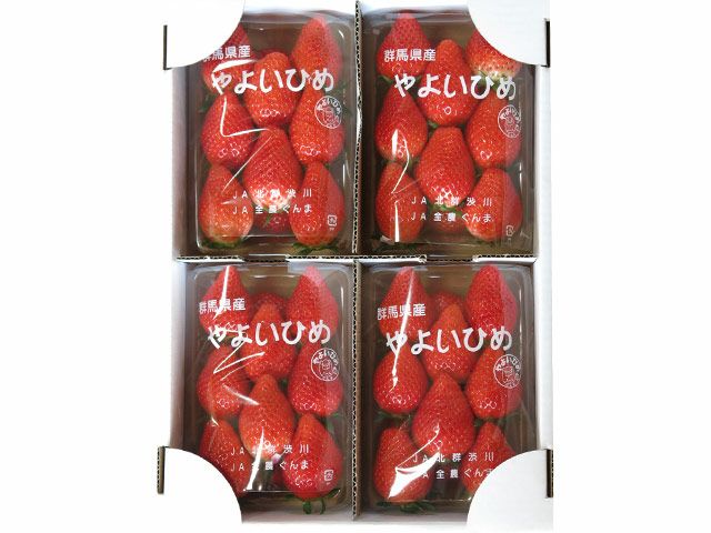 清五郎農園・ブラッドオレンジ・モロ【家庭用】10kg（S～Lミックス