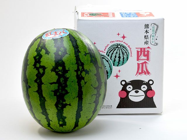 虹の大地・特選スイカ（紅まくら）【2L】約7kg | 安心堂 食のSELECT