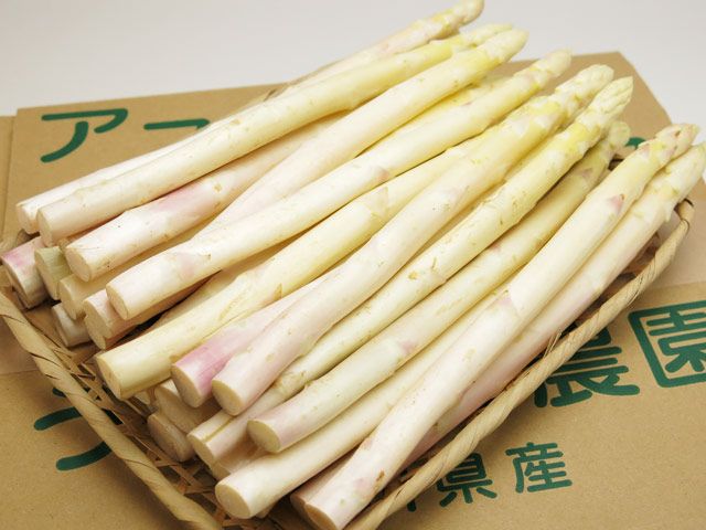 うえむら農園・ホワイトアスパラガス【L】約30本 | 安心堂 食のSELECT