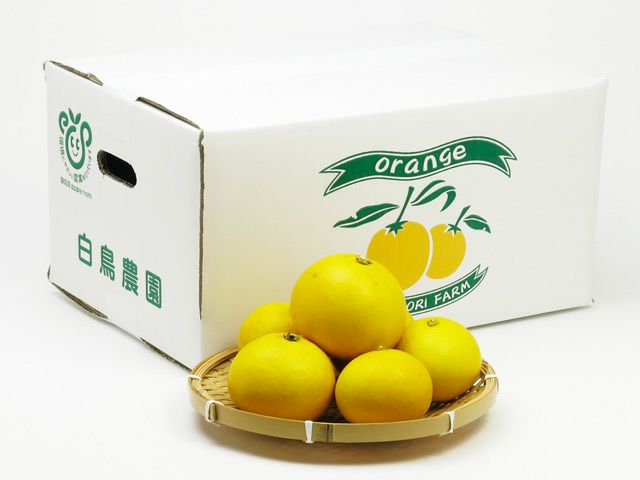 白鳥農園・伊豆産ニューサマーオレンジ（5kg） | 安心堂 食のSELECT