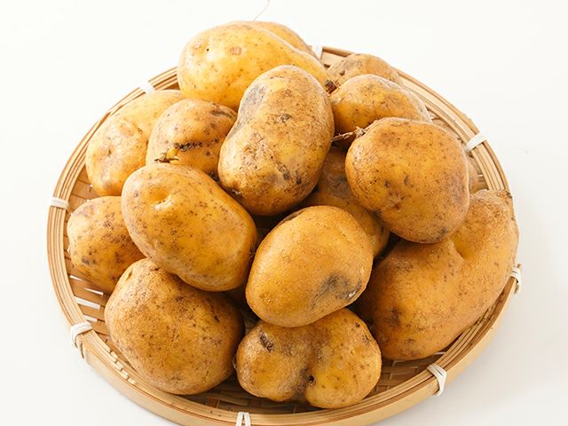 森浦農場・北海道十勝産 インカのめざめ 5kg【雪室貯蔵】 | 安心堂 食