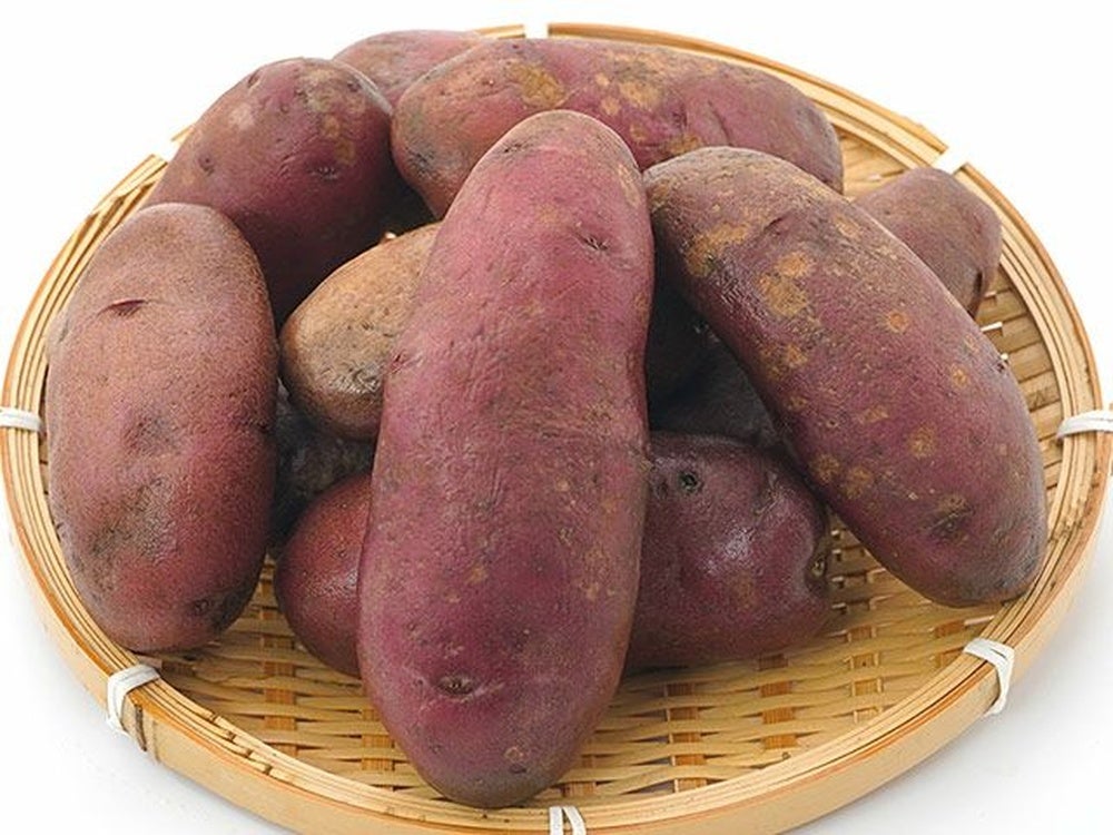 森浦農場・北海道十勝産 ノーザンルビー 5kg【雪室貯蔵】 | 安心堂 食