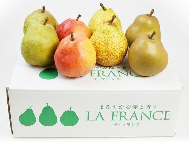 不忘果樹園・彩り洋梨セット8玉（3kg・4Lサイズ） | 安心堂 食のSELECT