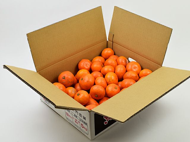 上門農園・紅俺ん路みかん（5kg） | 安心堂 食のSELECTネットショップ