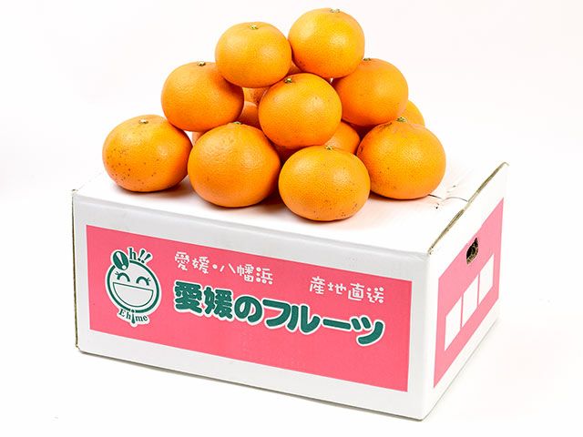 「木熟メロゴールド」と「可愛らしいせとか」5キロ 萩森農園・完熟せとか5kg(20～30個)【家庭用】 | 安心堂 食のSELECT
