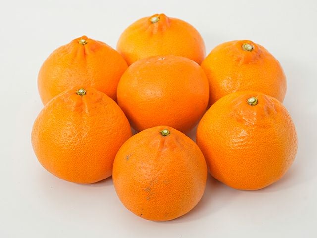 萩森農園・完熟せとか5kg(20～30個)【家庭用】 | 安心堂 食のSELECT