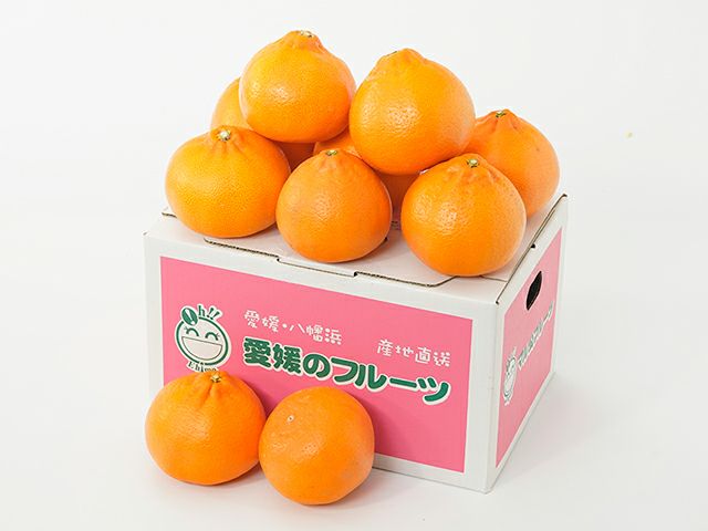 萩森農園・完熟せとか2.5kg(10～16個)【家庭用】 | 安心堂 食のSELECT