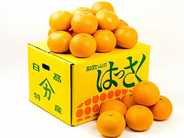 ヤマカ農園・木成り完熟 紅八朔 10kg | 安心堂 食のSELECTネットショップ