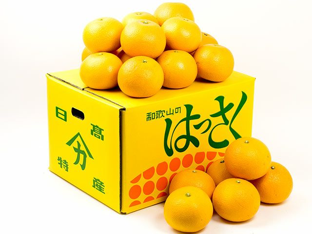 ヤマカ農園・木成り完熟 紅八朔 10kg | 安心堂 食のSELECTネットショップ