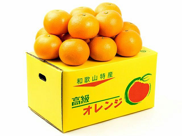 186000 現状品 シロタ その他家電 オレンジ 100V単相 380W [250530HM080075] ID55187】ZX75USK-5B | 特選解体重機 | 株式会社アタッチリンク