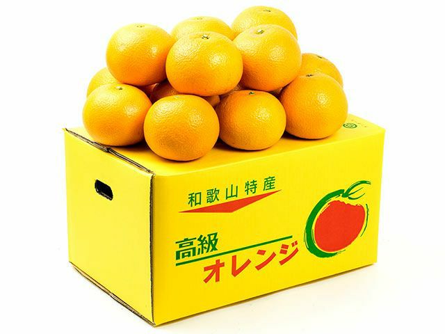 ヤマカ農園・木成り完熟 紅八朔 5kg | 安心堂 食のSELECTネットショップ