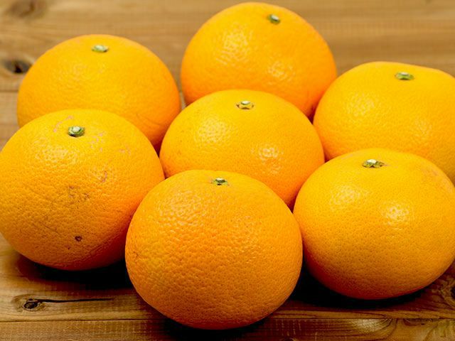 ヤマカ農園・木成り完熟八朔 5kg | 安心堂 食のSELECTネットショップ