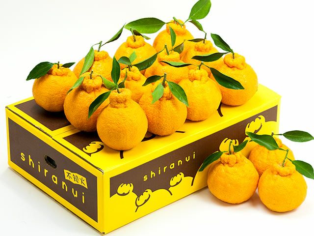 でこぽん・不知火 | 安心堂 食のSELECTネットショップ