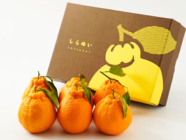 でこぽん・不知火 | 安心堂 食のSELECTネットショップ