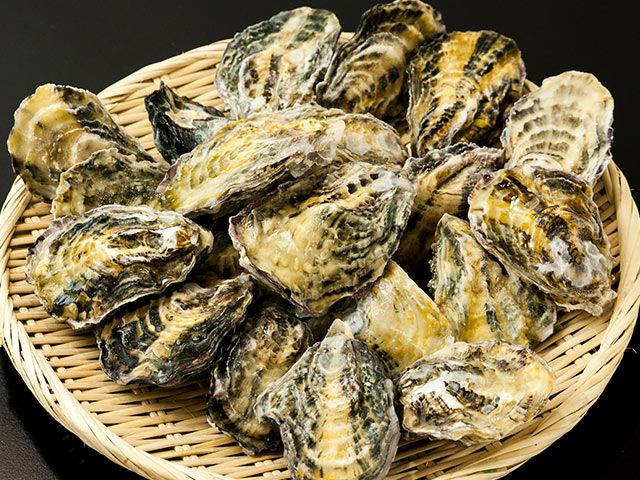 播磨海洋牧場・播磨灘産カラ付き冷凍生牡蠣 大サイズ（12個入り