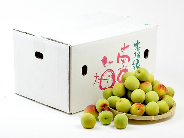 上門農園・紀州南高梅の青梅（10kg）梅干し用やわらかめ | 安心堂 食の