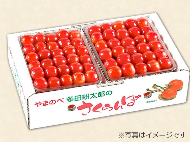 多田農園・紅秀峰（2段本詰）L-2L 約500g×2パック | 安心堂 食のSELECT