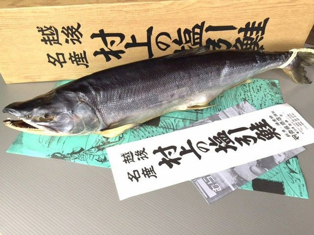 斎藤商店・越後村上の塩引鮭（1本物） | 安心堂 食のSELECTネットショップ