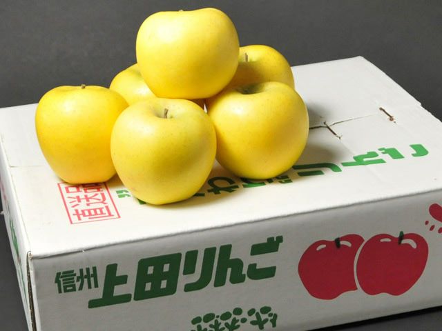 宮原果樹園・完熟シナノゴールド（約10kg）【キズ有】 | 安心堂 食の