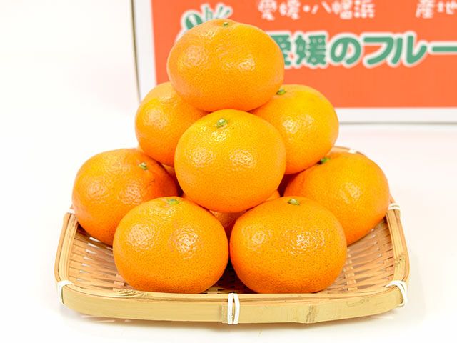 萩森農園・温州みかん3kg(21～60個) | 安心堂 食のSELECTネットショップ