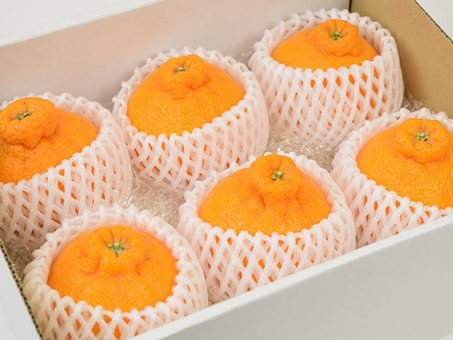 でこぽん・不知火 | 安心堂 食のSELECTネットショップ
