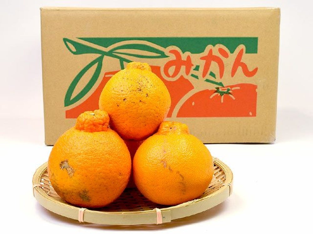 山上農園・不知火（5kg）15～30玉【家庭用】 | 安心堂 食のSELECT