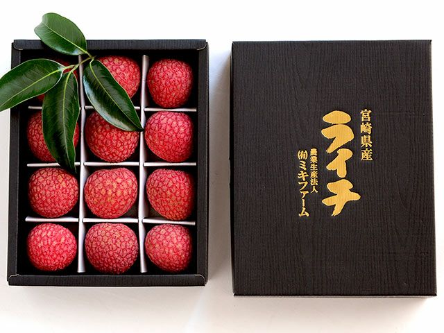 ミキファーム・宮崎県産生ライチ12玉【大粒・化粧箱】 | 安心堂 食の
