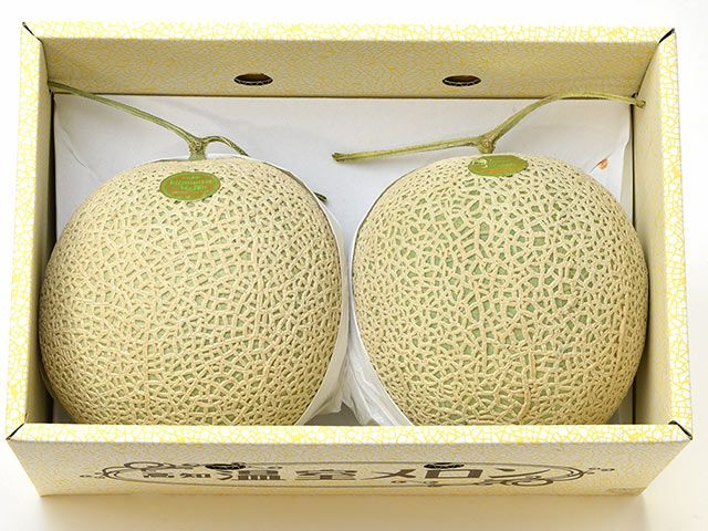 高知県産・北村メロン（家庭用） | 安心堂 食のSELECTネットショップ