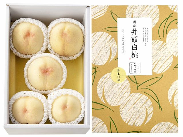 岡山県産加納岩白桃 ロイヤル 11個入り 井頭栄果園・岡山井頭白桃 約1.5kg(加納岩白桃)4～6玉入り | 安心堂 食