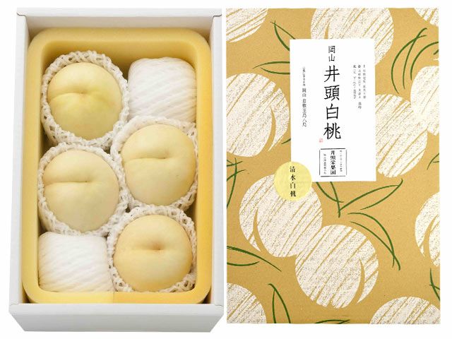 カワノ農園・太陽マンゴー 果実の宝石 2Lサイズ（約400g）×2玉 | 安心