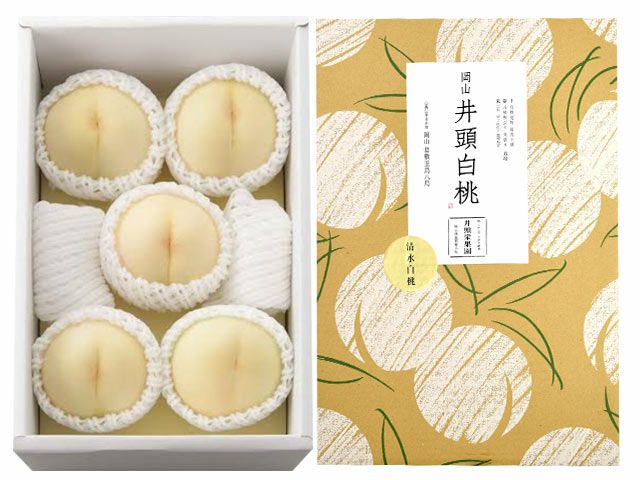 カワノ農園・太陽マンゴー 果実の宝石 2Lサイズ（約400g）×2玉 | 安心