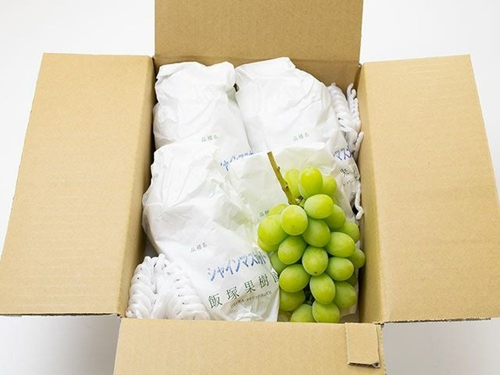 黒川みかん農園・薩摩不知火（デコポン）【家庭用】4kg(10～15玉入り