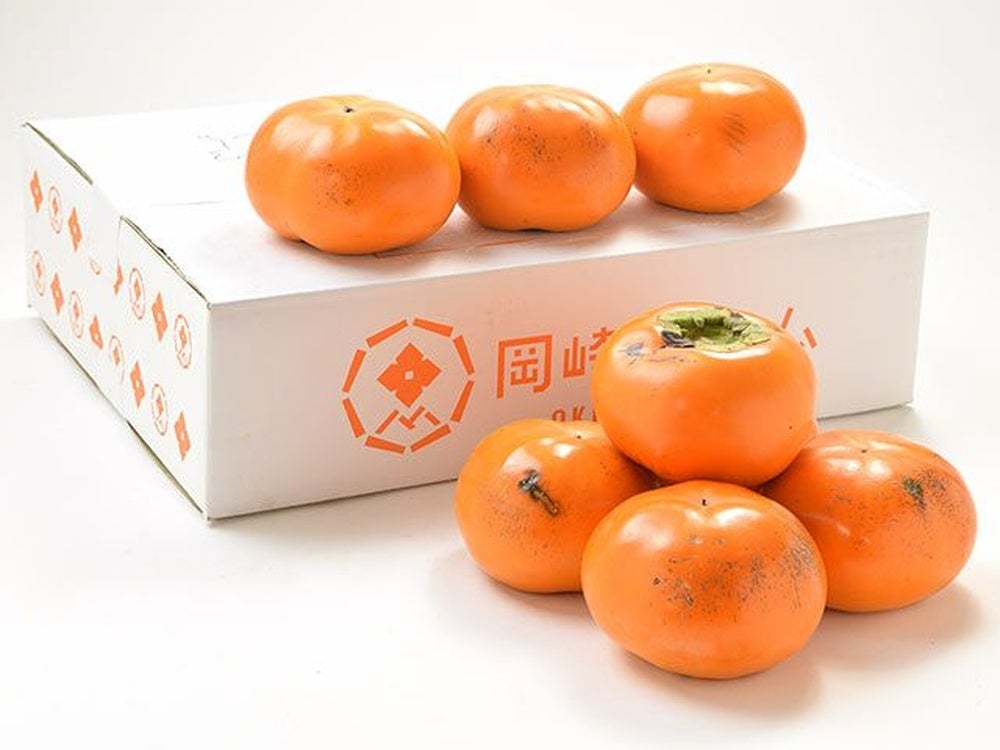 黒川みかん農園・薩摩不知火（デコポン）【家庭用】4kg(10～15玉入り