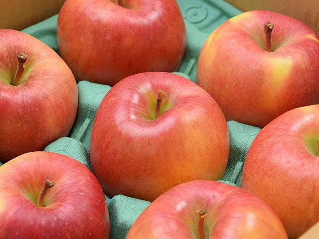 そうま農園・高徳りんご 2.2kg（8～11個） | 安心堂 食のSELECTネット