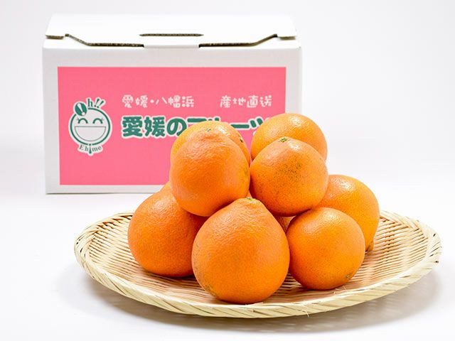 萩森農園・まどんなみかん2.5kg（7～15個）【家庭用】 | 安心堂 食の
