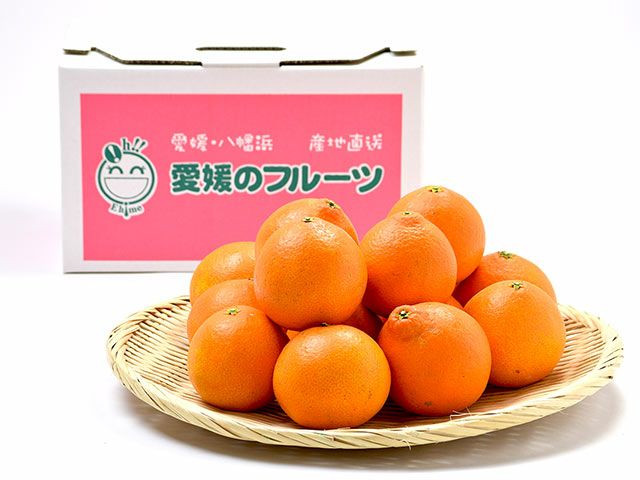 萩森農園・まどんなみかん3kg（15～30個）【家庭用小玉】 | 安心堂 食