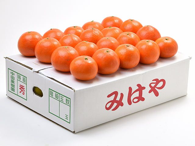 中田果樹園・みはや【贈答用】2.5kg（12～20玉） | 安心堂 食のSELECT