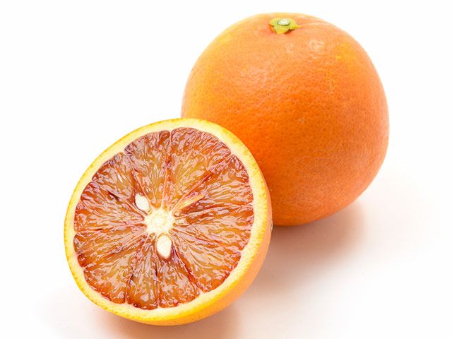 タロッコオレンジ | 安心堂 食のSELECTネットショップ