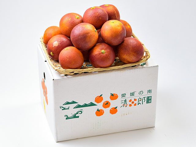 大矢野有機農産物供給センター・天草産パール柑【大玉】（7kg）12玉