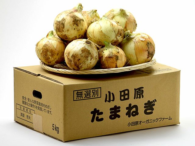 Awaji Nature Farm・淡路島産新生姜（5kg） | 安心堂 食のSELECTネット