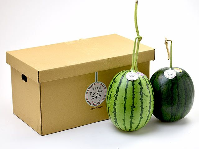 山本農園・八街すいか3L（約8kg） | 安心堂 食のSELECTネットショップ
